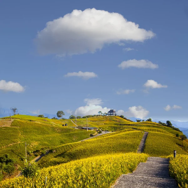 Orange daylily flower at sixty stone mountain, Fuli, Hualien, Ta — Stock Photo, Image