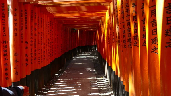 Miles de Torii con árboles verdes de fondo, Fushimi Inari Ta — Foto de Stock