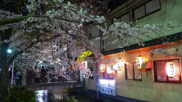 Krásné sakura sezóna v Kjótu stree s výhledem na město nice technologie přemostění — Stock fotografie