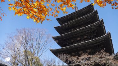güzel Tokyo - Sensoji-ji, tapınakta Asakusa, Japonya