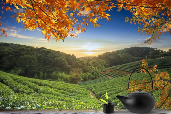 Tazza di tè sul tavolo sfondo della natura in giardino, tono caldo, Tai — Foto Stock