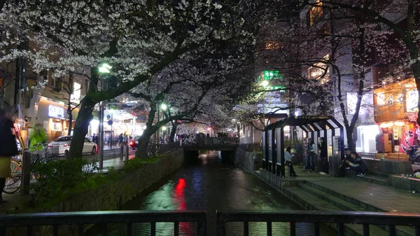 Krásné sakura sezóna v Kjótu stree s výhledem na město nice technologie přemostění — Stock fotografie