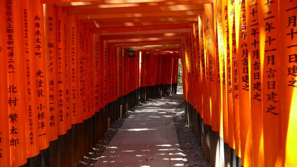 Duizenden Torii met groene bomen achtergrond, Fushimi Inari Ta — Stockfoto