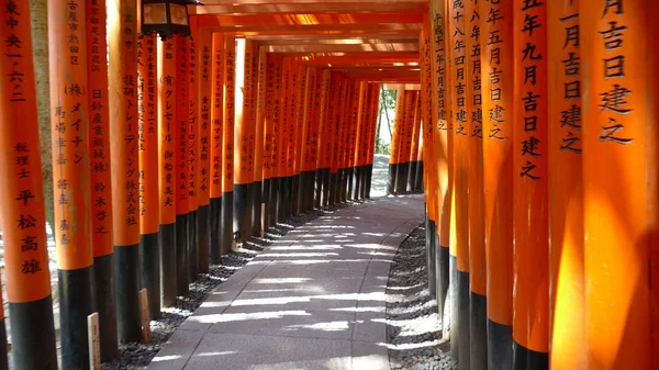 Miles de Torii con árboles verdes de fondo, Fushimi Inari Ta — Foto de Stock