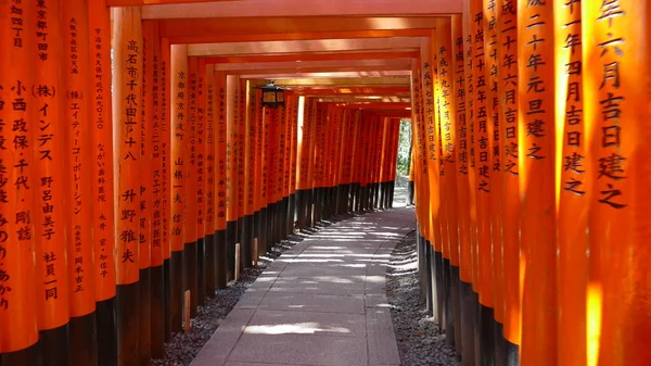 Miles de Torii con árboles verdes de fondo, Fushimi Inari Ta — Foto de Stock