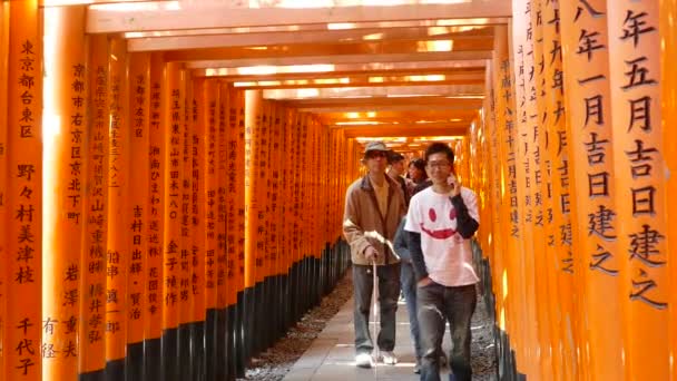 緑の木々 の背景、伏見稲荷大社神社、京都、鳥居の何千もの日本します。. — ストック動画