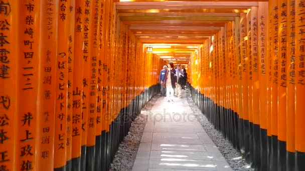 Thousands of Torii with green trees background, Fushimi Inari Taisha Shrine, Kyoto, Japan. — Stock Video