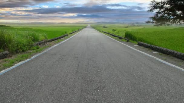 Natuurlijke zomer landschap met asfaltweg naar de horizon en het prachtige uitzicht — Stockvideo
