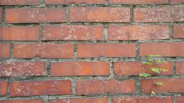 Φωτογραφία από έναν τοίχο από τούβλα σε ένα κτίριο στο Πόρτλαντ μου — Φωτογραφία Αρχείου