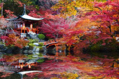 Recai-ji Tapınağı renkli akçaağaç Güz, Kyoto, Capa ile