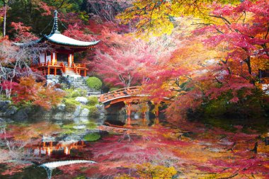Recai-ji Tapınağı renkli akçaağaç Güz, Kyoto, Capa ile