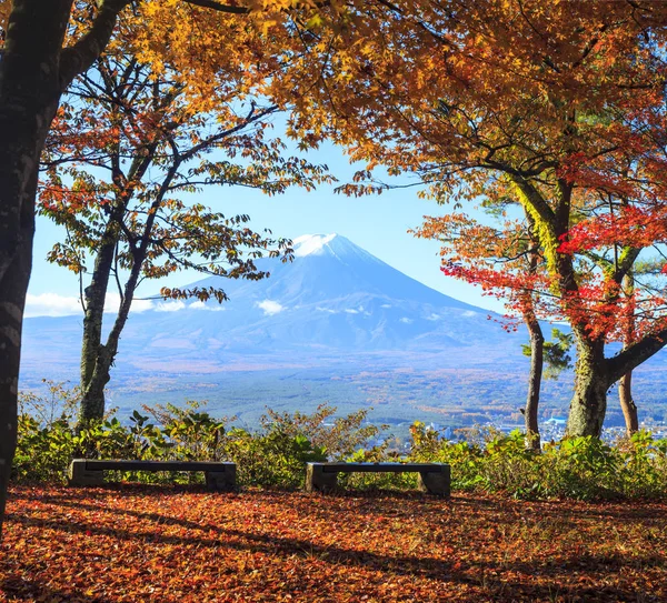 Imagiologia de Mt. Outono de Fuji com folhas de bordo vermelho Japão — Fotografia de Stock
