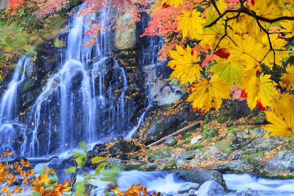 Beautiful autumn leaves and sky background in fall season — Stock Photo, Image