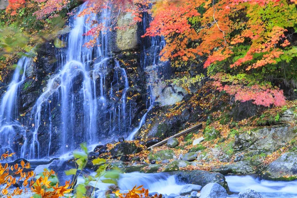 Hermosas hojas de otoño y el fondo del cielo en temporada de otoño — Foto de Stock