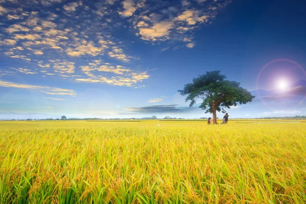 Bolang Dadao, la strada più bella di Taiwan, Taitung, Taiwan — Foto Stock