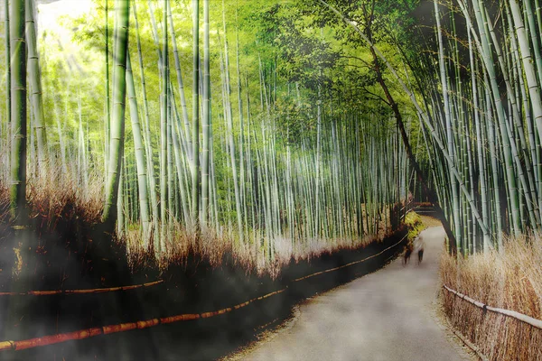 Bela floresta de bambu em Kyoto Japão . — Fotografia de Stock