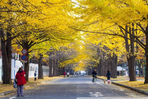 Schöne Straße gerade Straße in der Stadt mit gelbem Ginkgo — Stockfoto