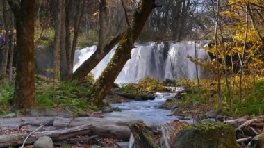 Oirase Gorge güzel nehir druing Sonbahar sezonu, Japonya