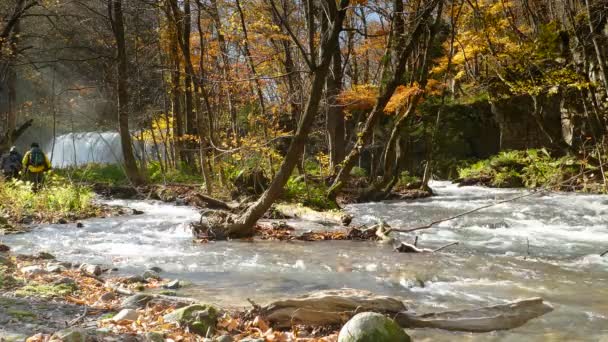 Ойрасское Ущелье Красивая Река Дружит Осенним Сезоном Япония — стоковое видео