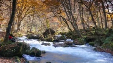 Oirase Gorge güzel nehir druing Sonbahar sezonu, Japonya