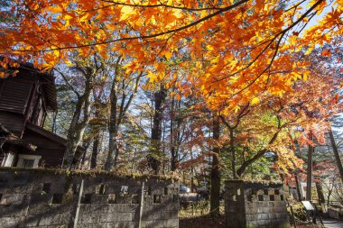 Güzel akçaağaç sezon Kumoba gölet, Karuizawa, Japonya