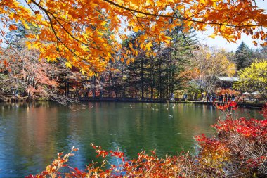 Güzel akçaağaç sezon Kumoba gölet, Karuizawa, Japonya