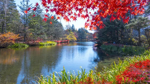 Beautiful maple season at Kumoba Pond, Karuizawa, Japan — Stock Photo, Image