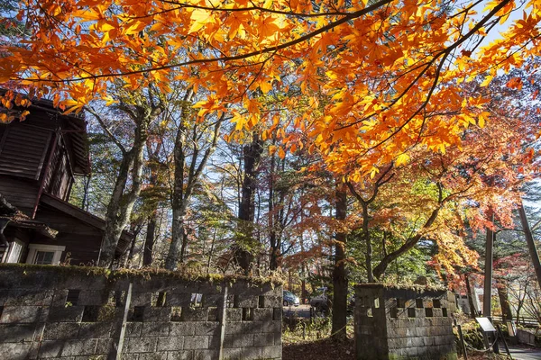 Prachtige esdoorn seizoen op Kumoba vijver, Karuizawa, Japan — Stockfoto