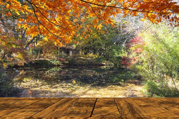 Beautiful maple season at Kumoba Pond, Karuizawa, Japan — Stock Photo, Image