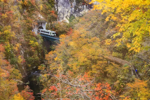 Naruko Gorge piękne liście klonu jesienią — Zdjęcie stockowe