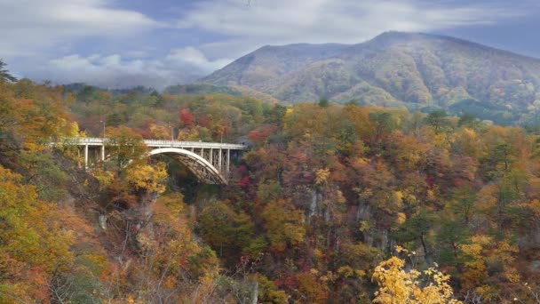 Naruko Gorge Hermosas Hojas Arce Otoño — Vídeos de Stock