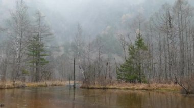 Pastoral manzara Hotaka dağ silsilesi, Kamikochi Milli Parkı, Kamikochi, Japonya.