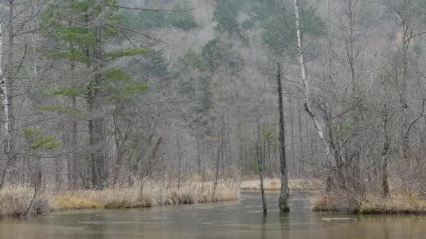 Sielankowy Krajobraz Hotaka Górskiego Park Narodowy Kamikochi Kamikochi Japonia — Wideo stockowe