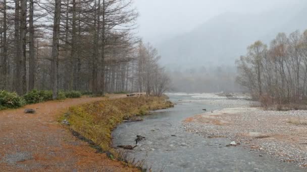 日本上高地国家公园和高山山脉的田园风光 — 图库视频影像