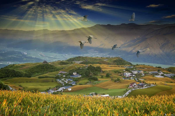 Foggy morning in the mountains with flying birds over silhouette — Stock Photo, Image