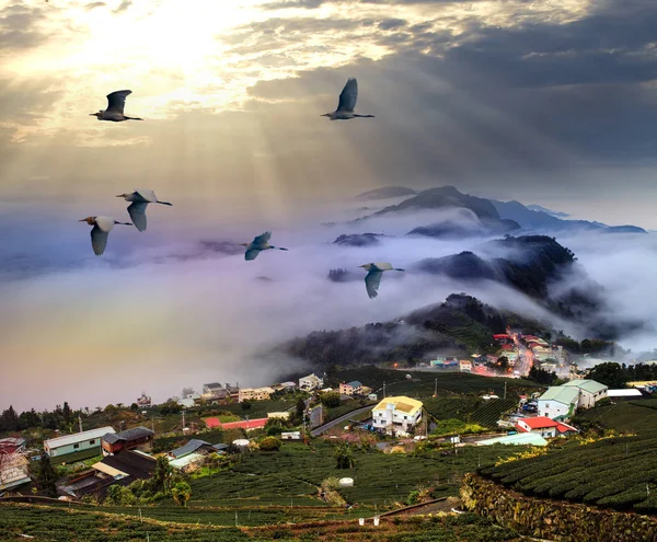 Mañana brumosa en las montañas con aves voladoras sobre la silueta — Foto de Stock