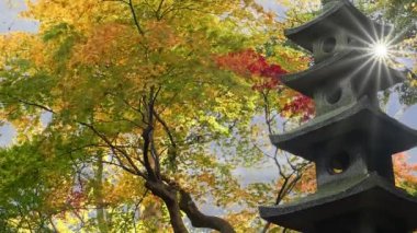 Kanazawa, Ishikawa, Japonya Kenrokuen Bahçeleri 'nde sonbahar sezonu
