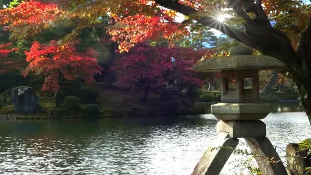 Kanazawa Ishikawa Japón Temporada Otoño Kenrokuen Gardens — Vídeo de stock