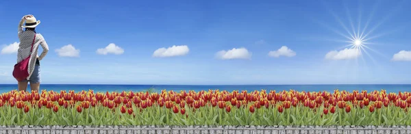 Rendu Champ Tulipes Côté Vue Sur Mer Ciel Lumineux — Photo