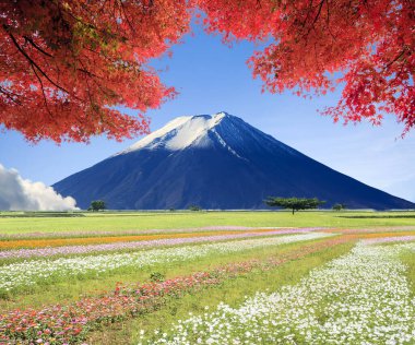 Ziyaret etmek için güzel bir yerin 3 boyutlu canlandırması