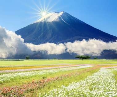 Ziyaret etmek için güzel bir yerin 3 boyutlu canlandırması