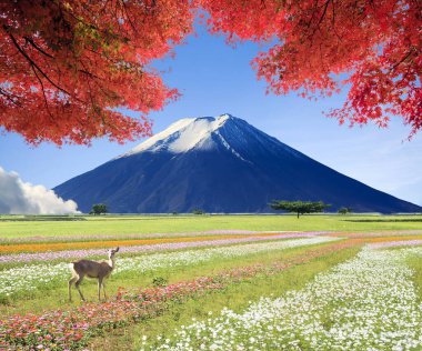 Ziyaret etmek için güzel bir yerin 3 boyutlu canlandırması