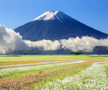 Ziyaret etmek için güzel bir yerin 3 boyutlu canlandırması