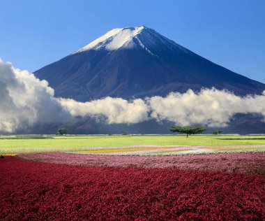 Ziyaret etmek için güzel bir yerin 3 boyutlu canlandırması