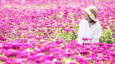 Gezgin ya da turizm Asyalı kadınlar ayakta ve kamerayla fotoğraf çekiyorlar.