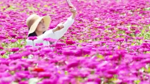 旅行者や観光アジアの女性が立ってカメラを持って写真の花を撮る — ストック動画