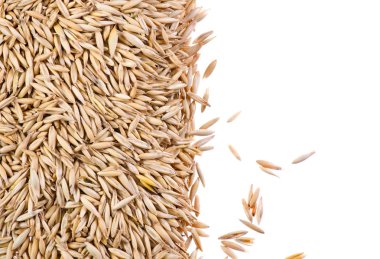 yulaf makro arka plan