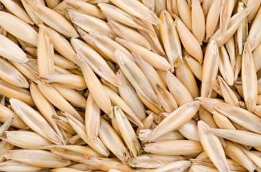 yulaf makro arka plan