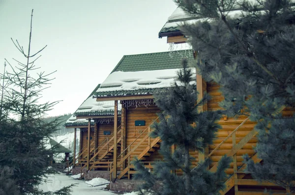 Chalets en bois pinède — Photo