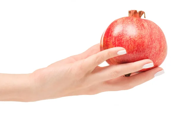 Granatapfel weibliche Hand — Stockfoto